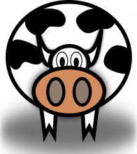 Mucca